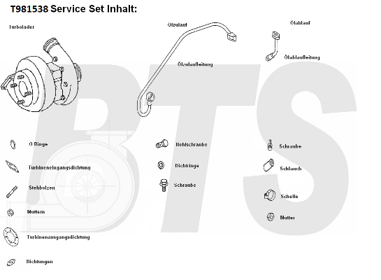 Compresor,sistem de supraalimentare T981538 BTS Turbo